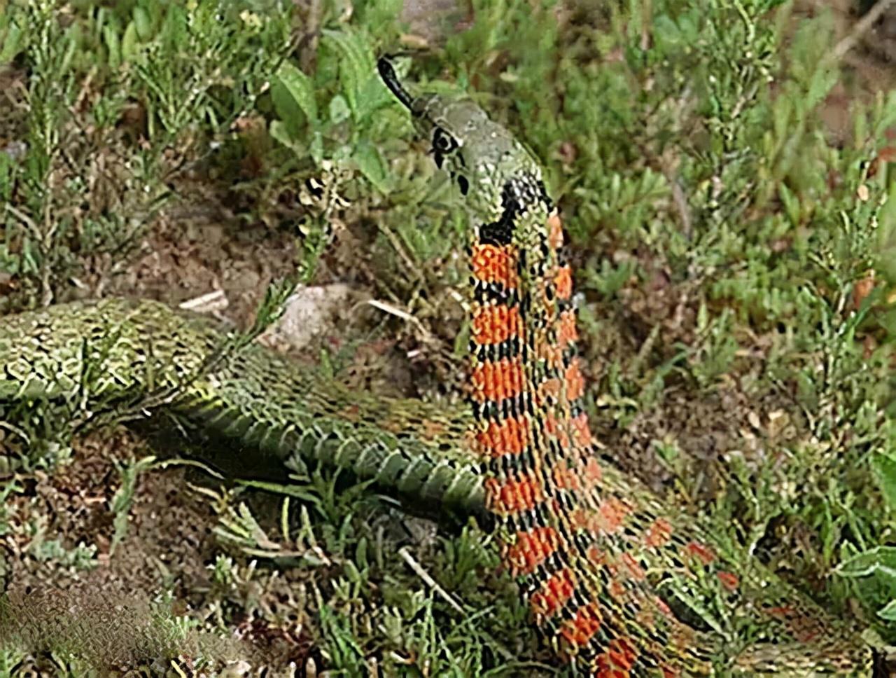 湖北,驱动转型发展的新动力引擎