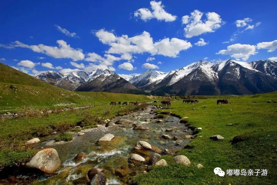 新疆,多元融合之魅力所在