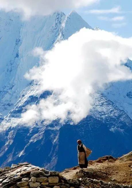 西藏致敬，领导与朋友共聚盛会