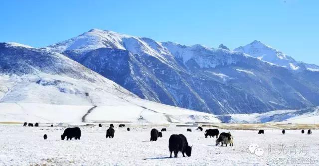 青海,秘境自然与人文瑰宝的交融之地