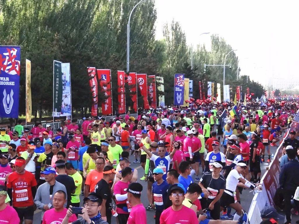 包头,完成任务与学习技能的详细步骤指南