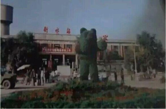 衡水，青春梦想启航之地